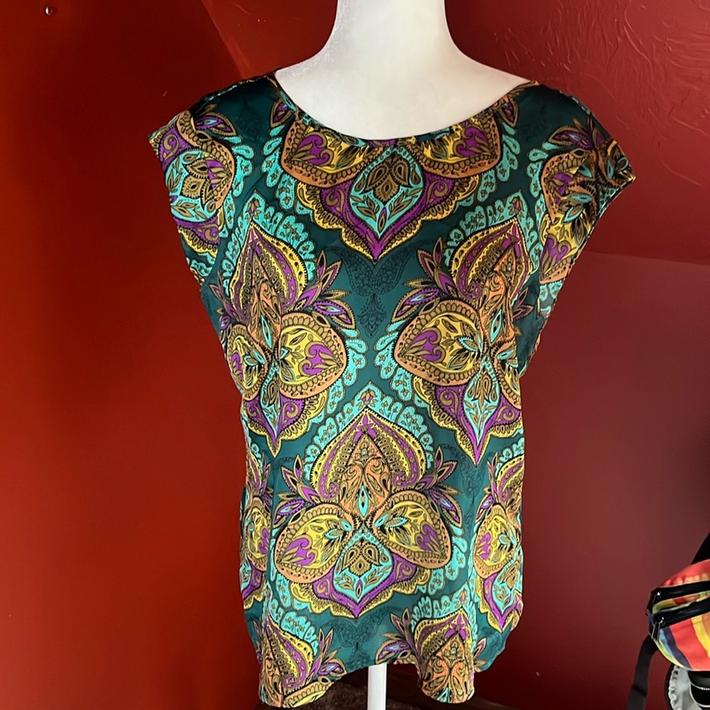 The Limited Multi colored blouse size medium - Picture 1 of 5
